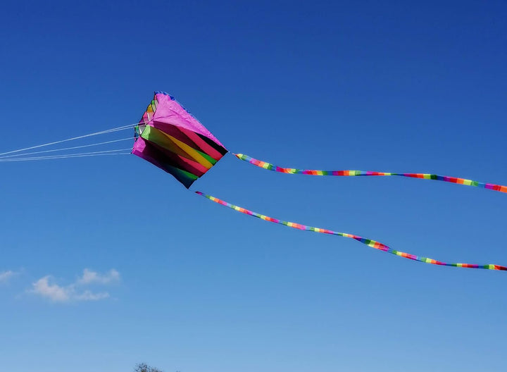 60" Rainbow Kite Tails - Helps your friends find you on the beach - Beach Location Marker