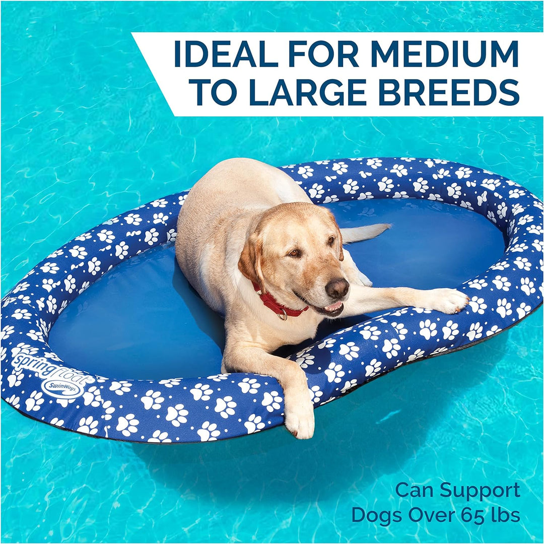 Spring Float Pet Lounger